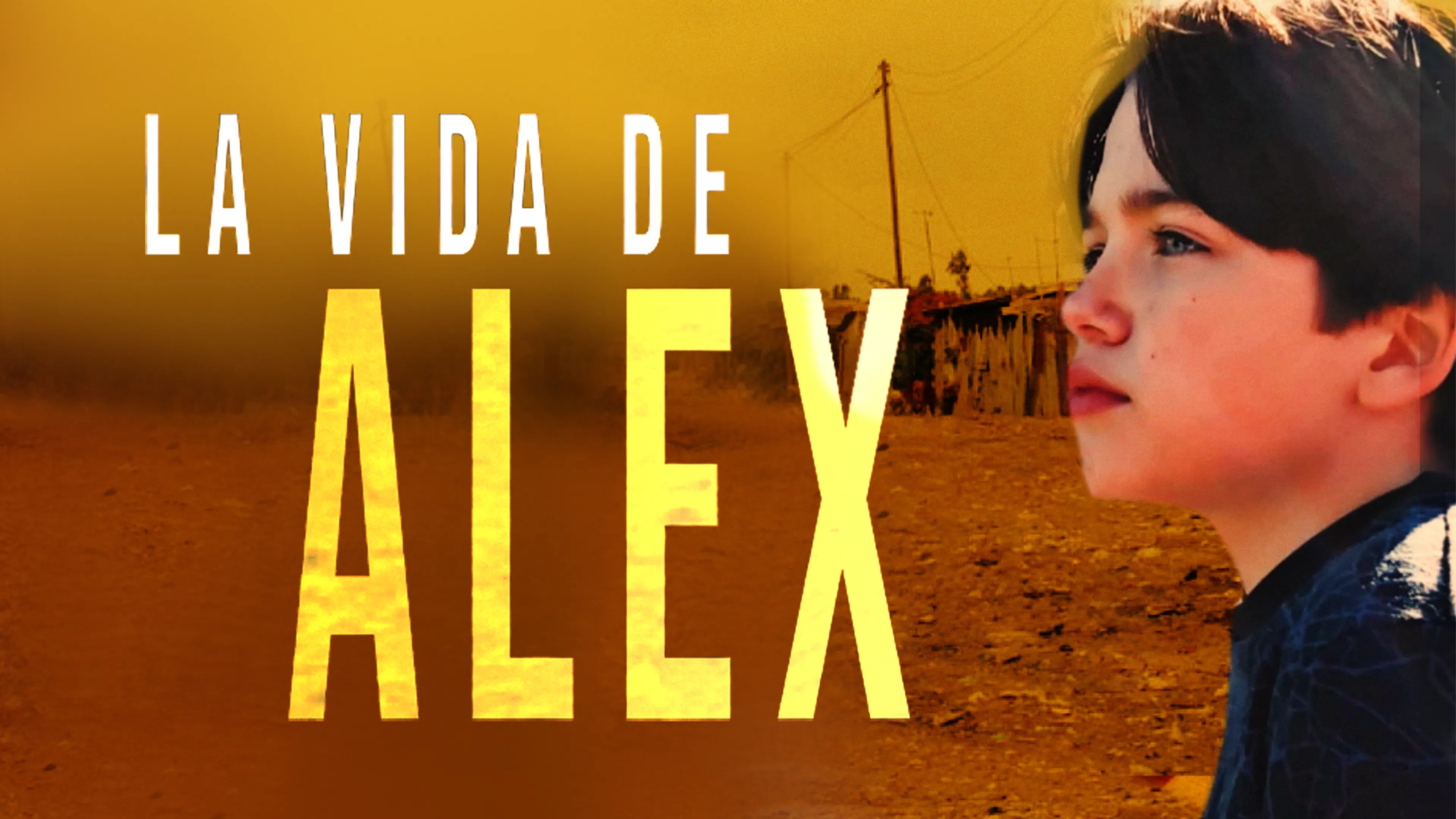 La vida de Alex poster